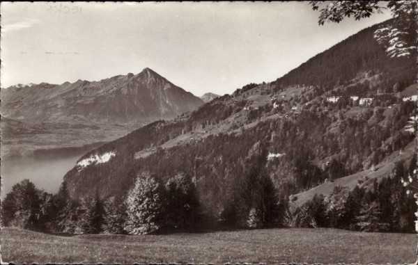 Beatenberg mit Niesenkette