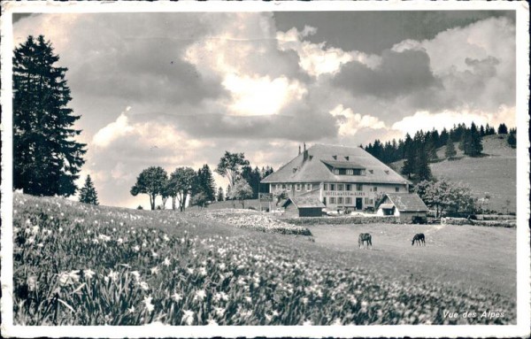 Hotel de la Vue des Alpes Vorderseite
