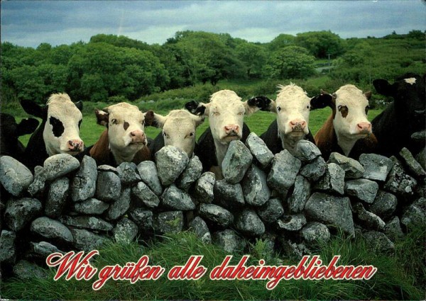 Wir grüssen alle daheimgebliebenen Vorderseite