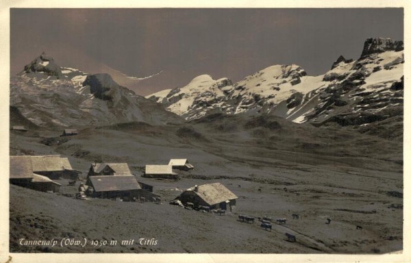 Tannenalp mit Titlis Vorderseite