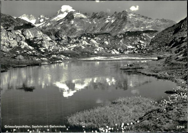Grimselpass Vorderseite