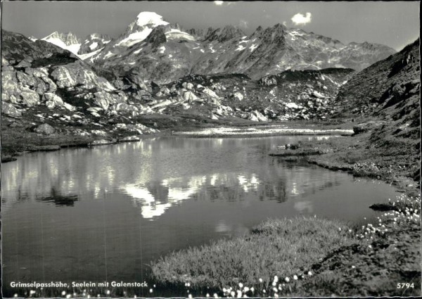 Grimselpass Vorderseite