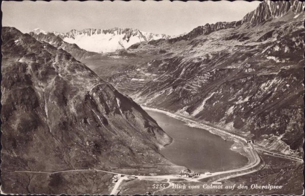 Blick vom Calmot auf den Oberalpsee Vorderseite