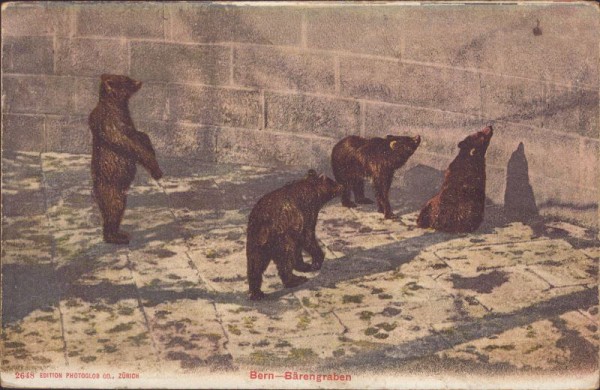 Bern - Bärengraben