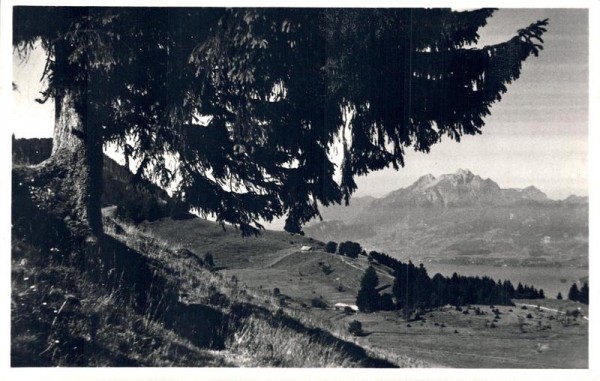 Rigi- Seebodenalp mit Pilatus Vorderseite