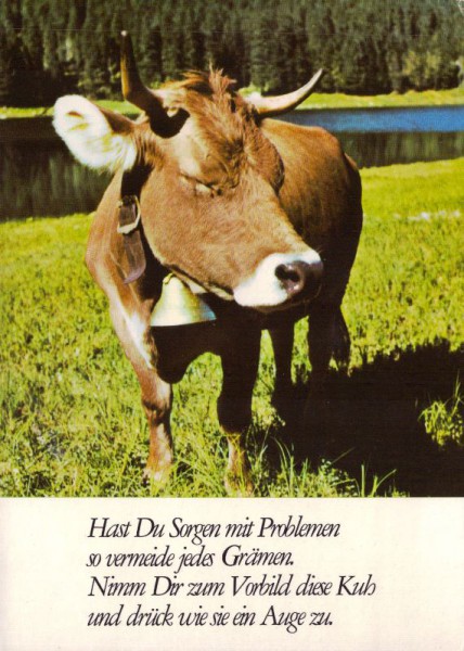 Hast du Sorgen mit Problemen so vermeide jedes Grämen. Nimm dir zum Vorbild diese Kuh