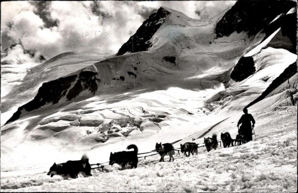 Jungfraujoch, Schlittenfahrt mit Polarhunden Vorderseite