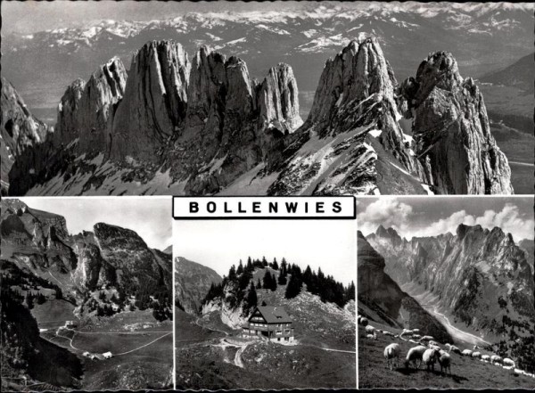 Bollenwies Vorderseite