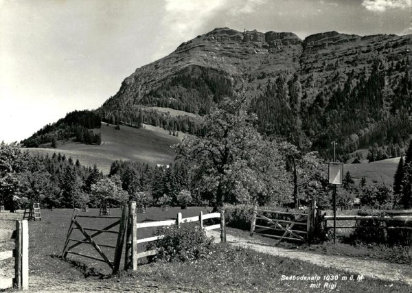Seebodenalp mit Rigi Vorderseite