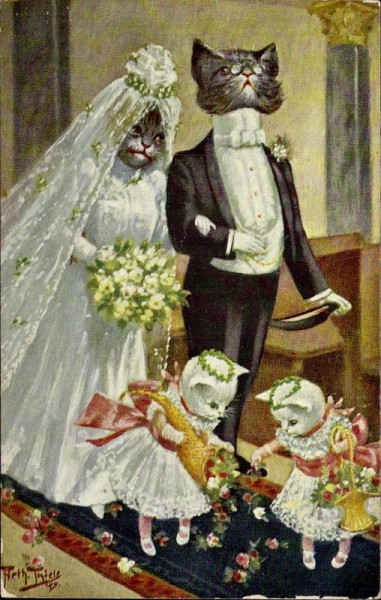 Katzenhochzeit Vorderseite