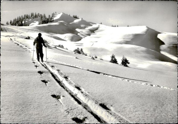 Auf der Wolzenalp Vorderseite