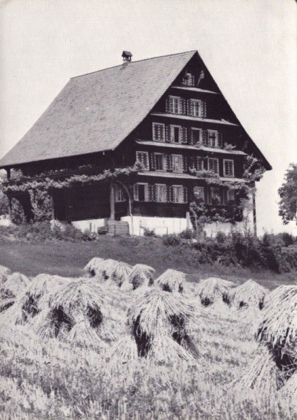 Bauernhaus Cham / ZG