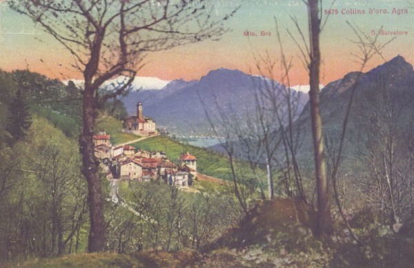 Collina d'oro