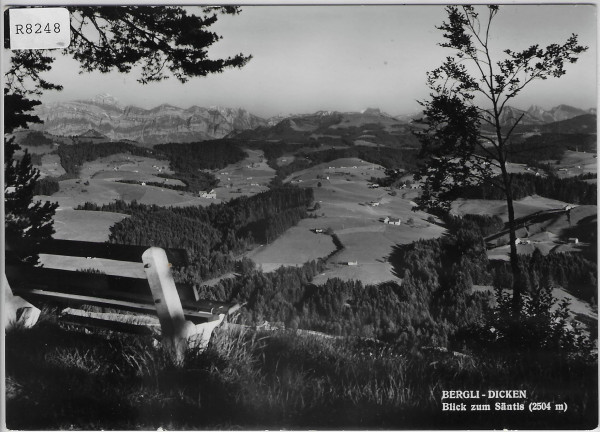 Bergli-Dicken - Blick zum Säntis