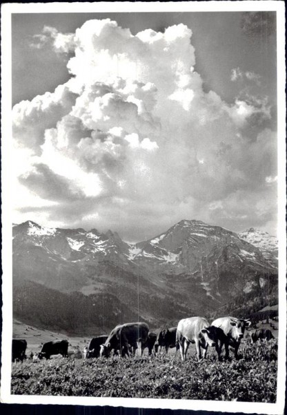 Ferienland Obertoggenburg, Schweiz Vorderseite