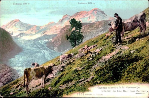 Zermatt Vorderseite