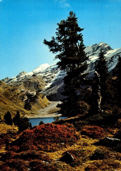 Engstlenalp Vorderseite