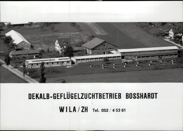 Wila, Dekalb-Geflügelzuchtbetrieb Bosshardt, Flugaufnahme Vorderseite