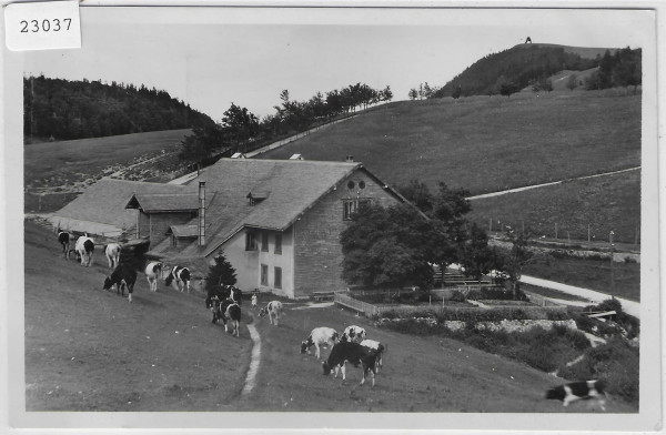 Wirtschaft z. Sennhaus Vorderer