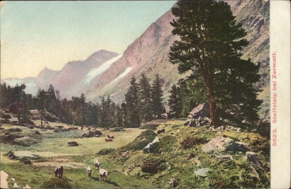 Staffelalp bei Zermatt