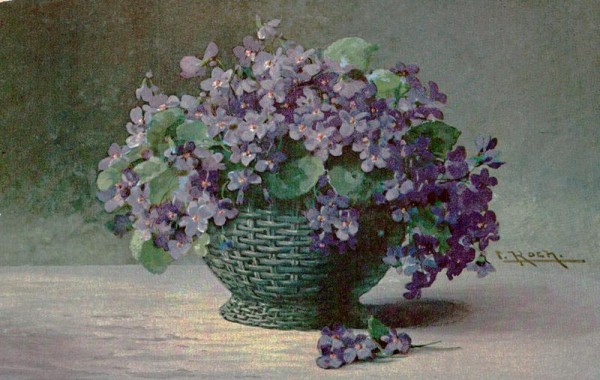 "Veilchen" Vorderseite