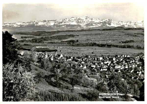 Weinfelden, Blick zum Säntis Vorderseite