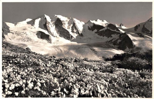 Blick von der Diavolezzahütte auf Persgletscher, Piz Palü, Bellavista und Crast`agüzza Vorderseite