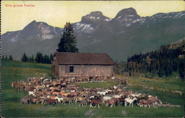 Eine grosse Familie Vorderseite