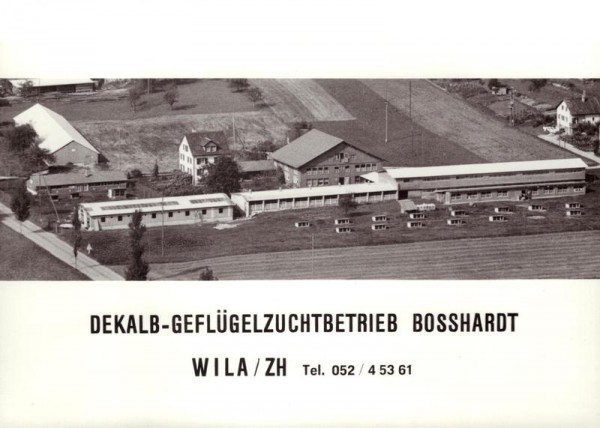 Dekalb - Geflügelzuchtbetrieb Bosshardt, Wila/ZH - Flugaufnahmen Vorderseite
