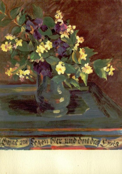 Schwertlilien mit Pfeifenstrauch Vorderseite