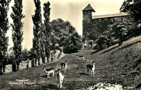 Rapperswil, Schloss und Hirschenpark Vorderseite