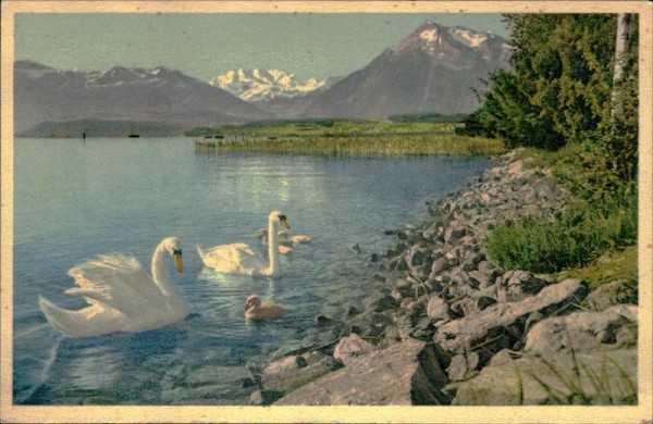 Thun Vorderseite