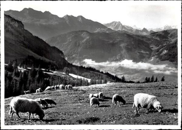 Blick vom Windenpass zu den Glarnerbergen Vorderseite