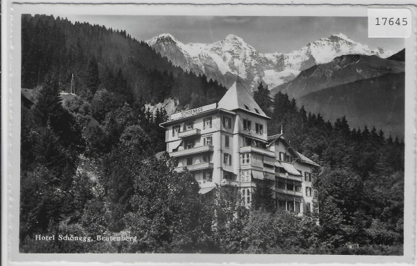 Hotel Schönegg Beatenberg