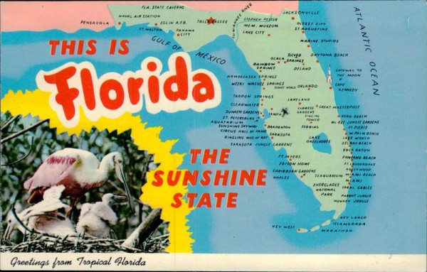 Florida Vorderseite