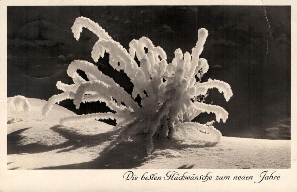 Die besten Glückwünsche zum neuen Jahre Vorderseite