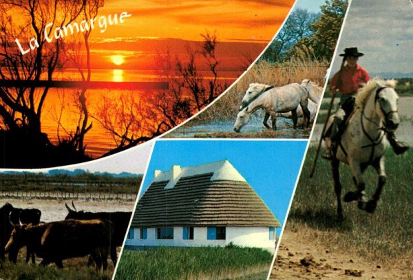 La Camargue Vorderseite