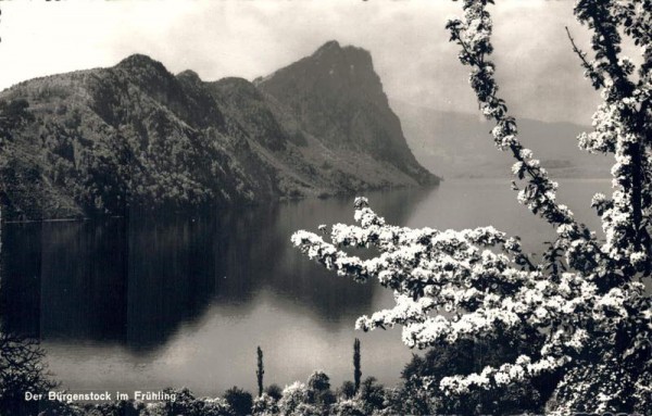 Der Bürgenstock in Frühling Vorderseite