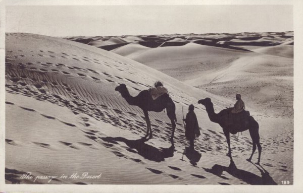 Ägypten, Kamele in der Wüste