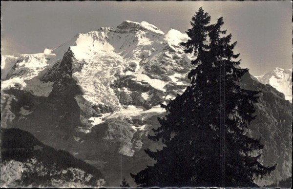 Die Jungfrau Vorderseite