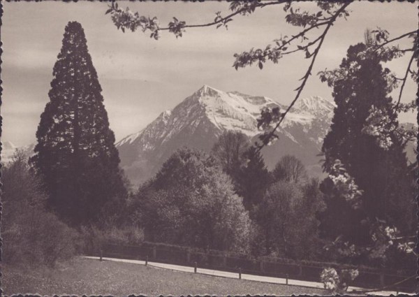 Bei Hilterfingen, Niesen Vorderseite