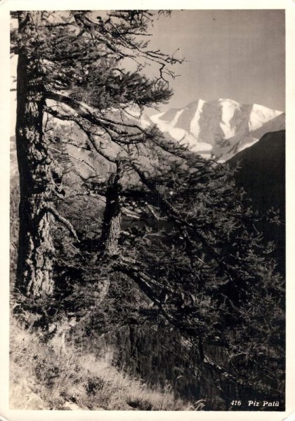 Piz Palü Vorderseite