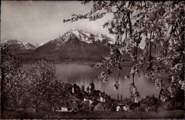 Oberhofen am Thunersee mit Niesen