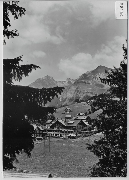 Hotel Alpenblick - Wildhaus