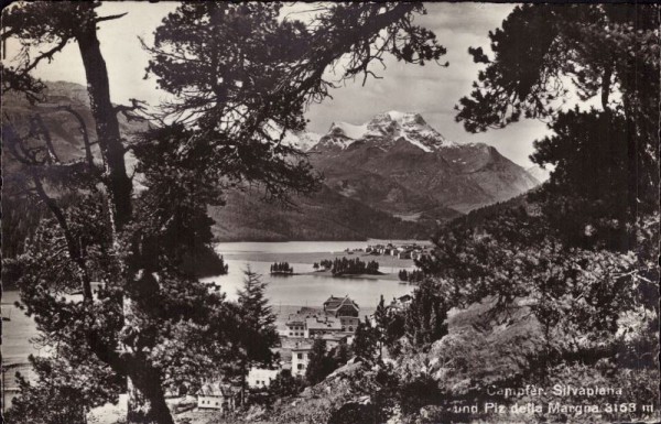 Campfer, Silvaplana