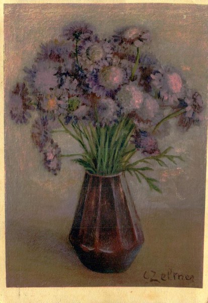 Tauben-Krätzkraut Vorderseite