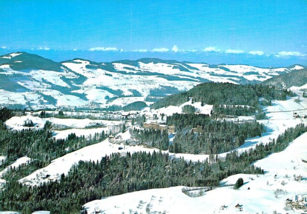 Wald ZH - Flugaufnahmen Vorderseite