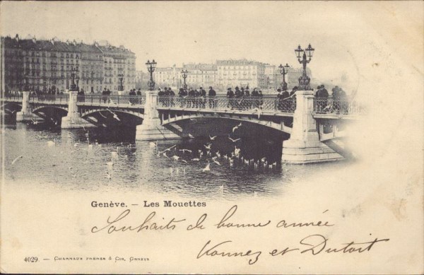 Genève, les Mouettes