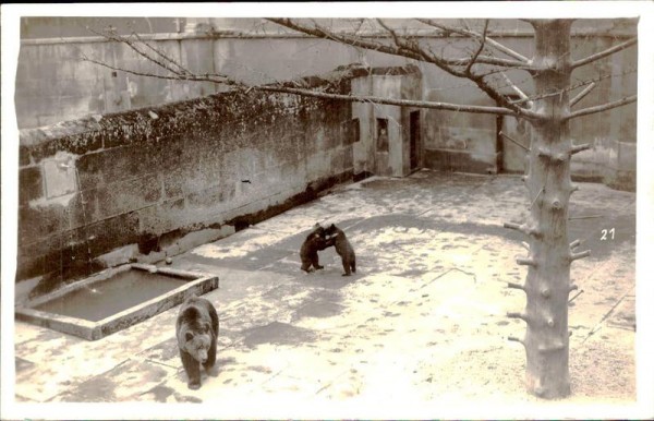 Bärengraben, Bern Vorderseite