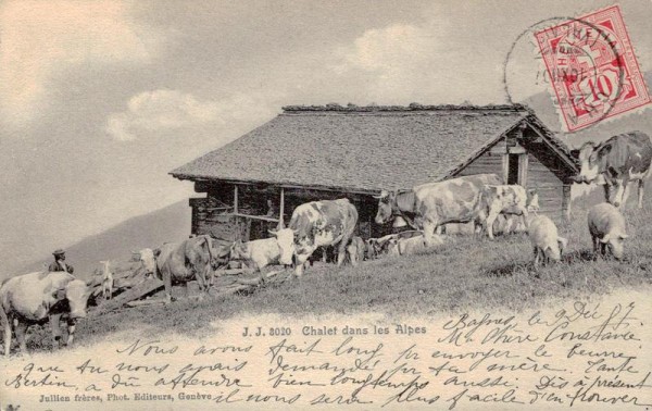 Chalet dans les Alpes Vorderseite